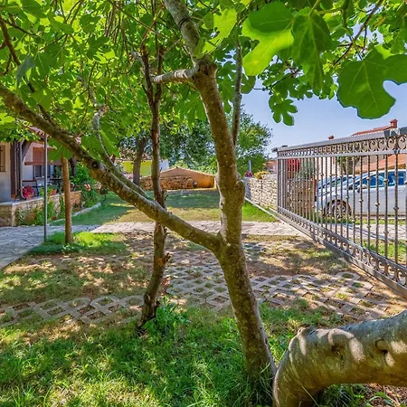 Eva Apartament Medulin